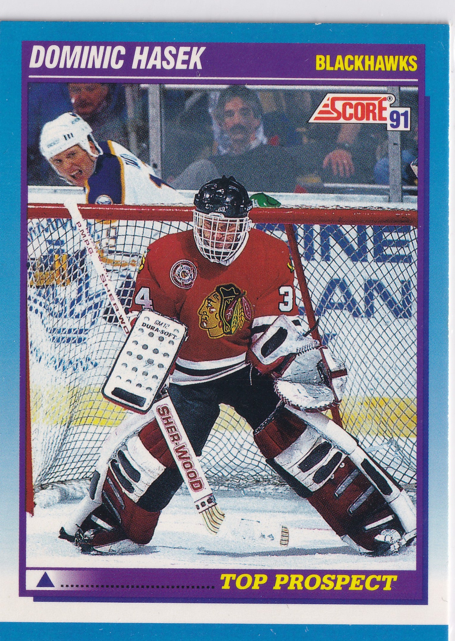 Dominik Hašek 1991 Score Top Prospect #346