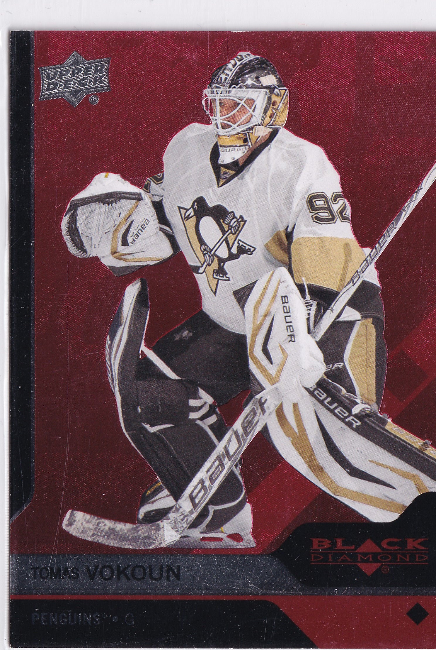 Tomáš Vokoun 2013-14 Black Diamond Ruby /50 #58 – 23/50