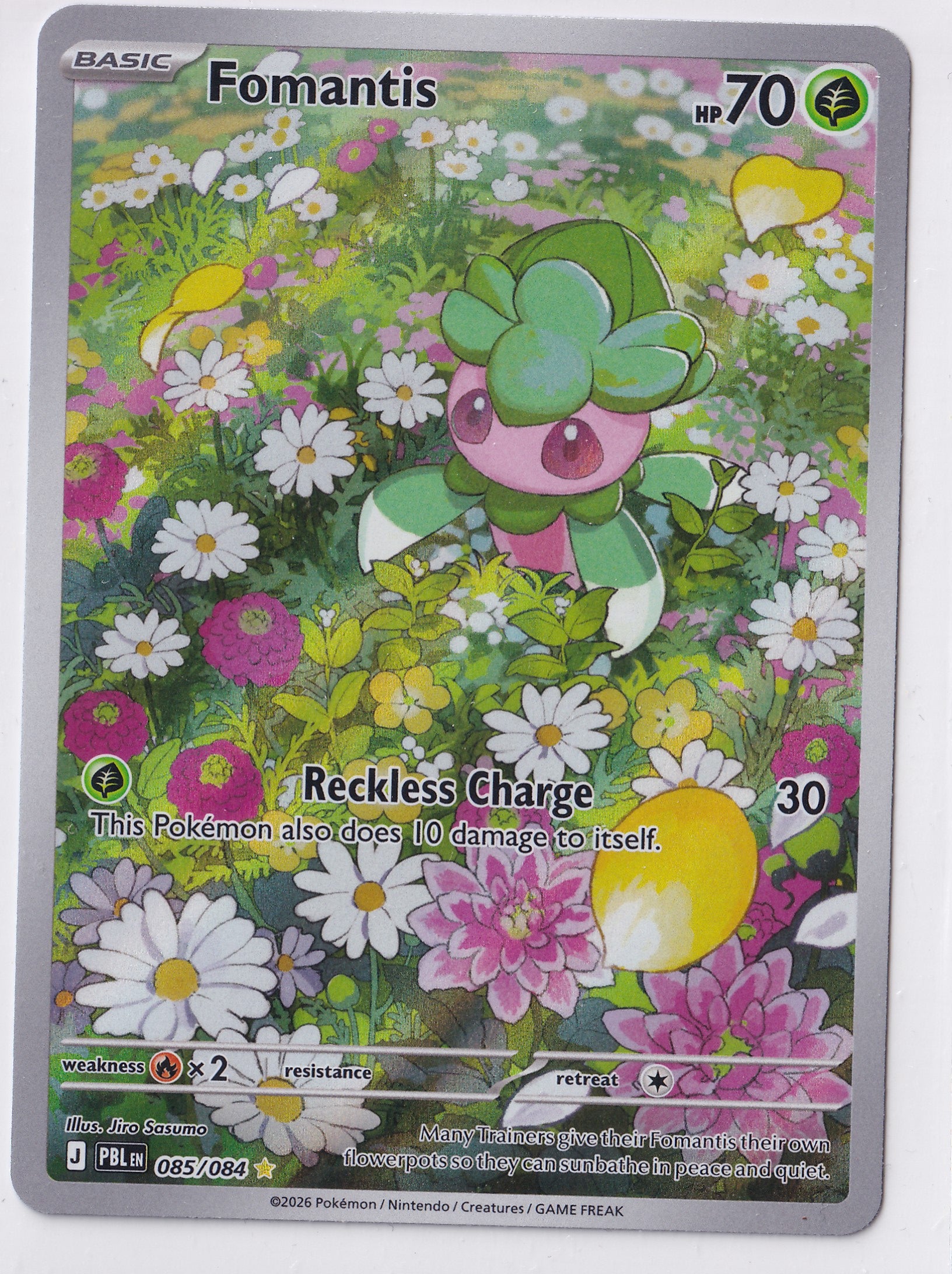 Fomantis 085/084 – Illustration Rare – Pokémon TCG Pitch Black