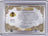 Artemi Panarin – 2020-21 Upper Deck Artifacts Threads of Time Game-Used Jersey #TT-AP