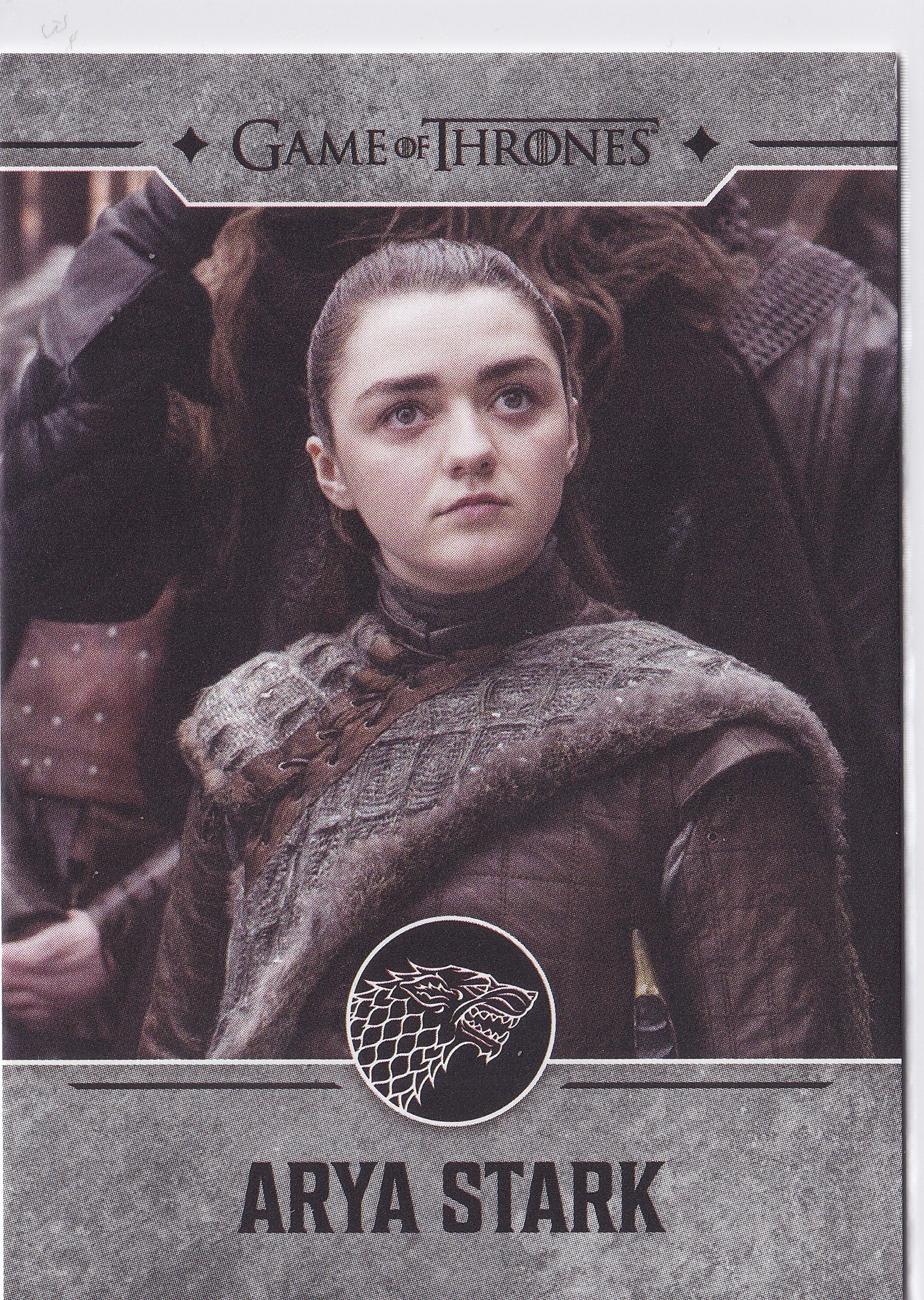 Arya Stark 2025 Game of Thrones: The Great Houses #2