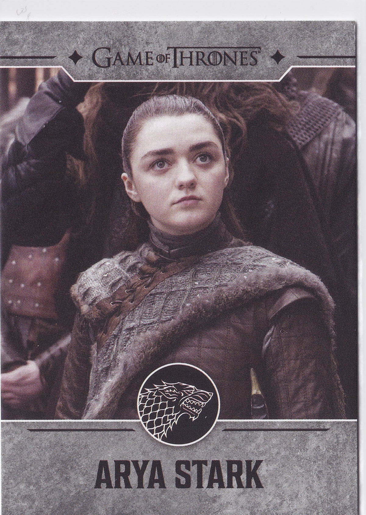 Arya Stark 2025 Game of Thrones: The Great Houses #2