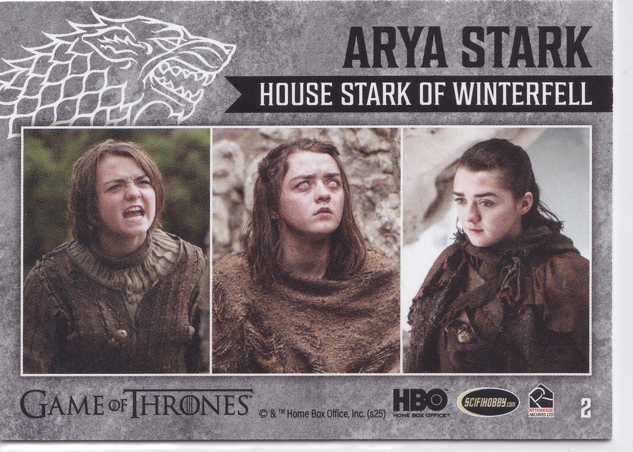 Arya Stark 2025 Game of Thrones: The Great Houses #2